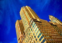 The 5 Biggest Garden Trends of 2017